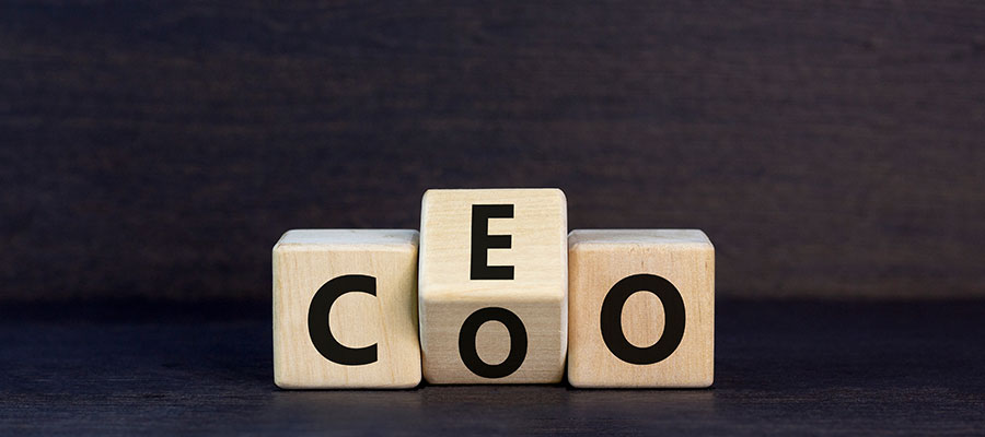 Duties of Corporate Officers and Directors: Care, Loyalty, Oversight